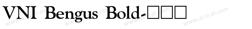 VNI Bengus Bold字体转换